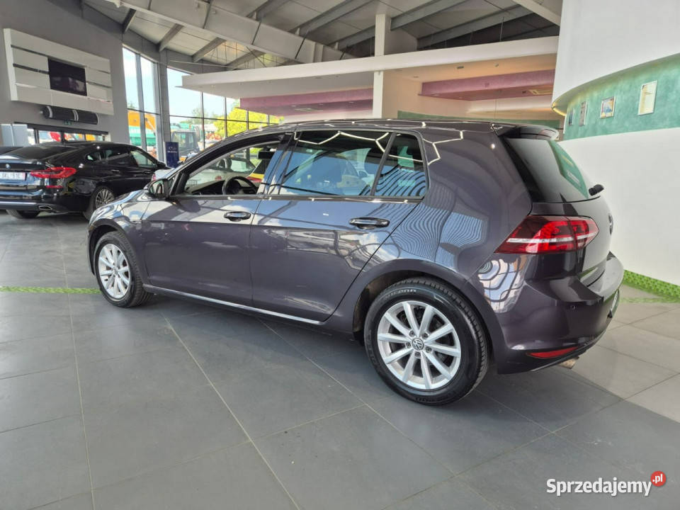 Volkswagen Golf Volkswagen Golf 16 TDI