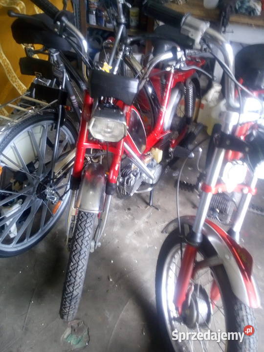 motorower herkules 14km Pozostałe