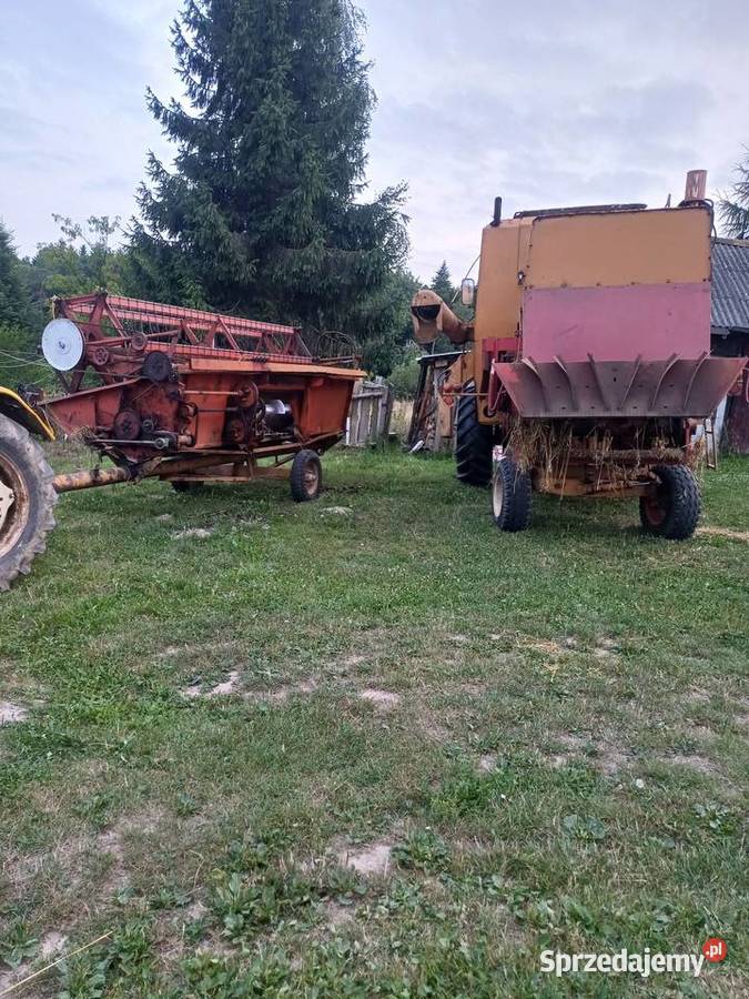 Sprzedam boznoa super Jawornik Polski