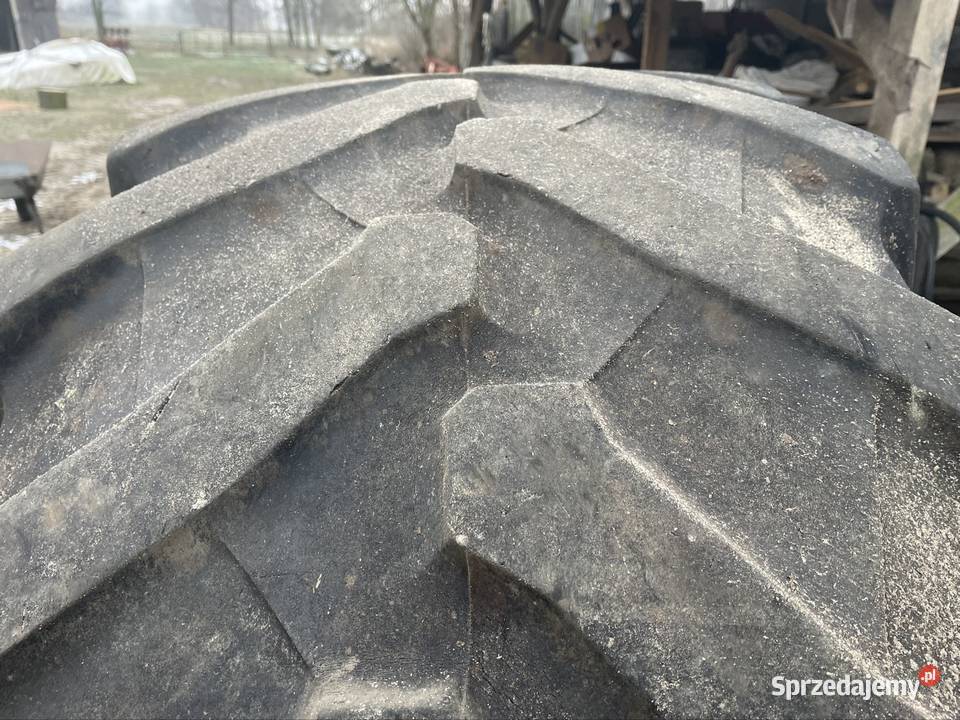 Opona 6006538 Góra Bałdrzychowska