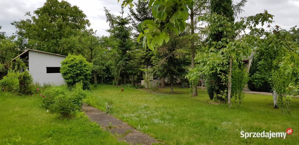 Super Działka Rekreacyjna ROD w centrum sprzedam