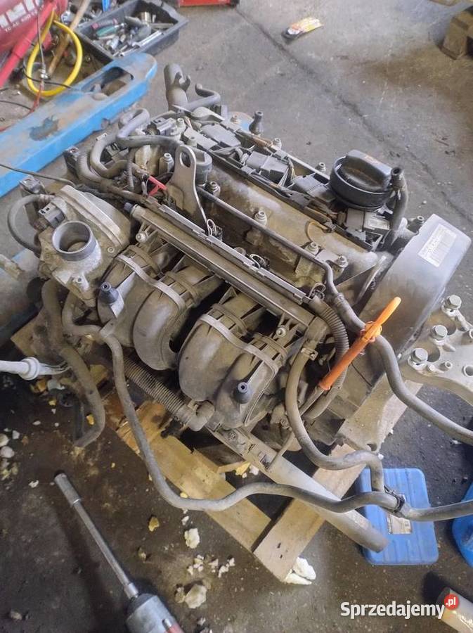 Silnik BBY 14 Kpl Seat Ibiza III Lift Wysyłka