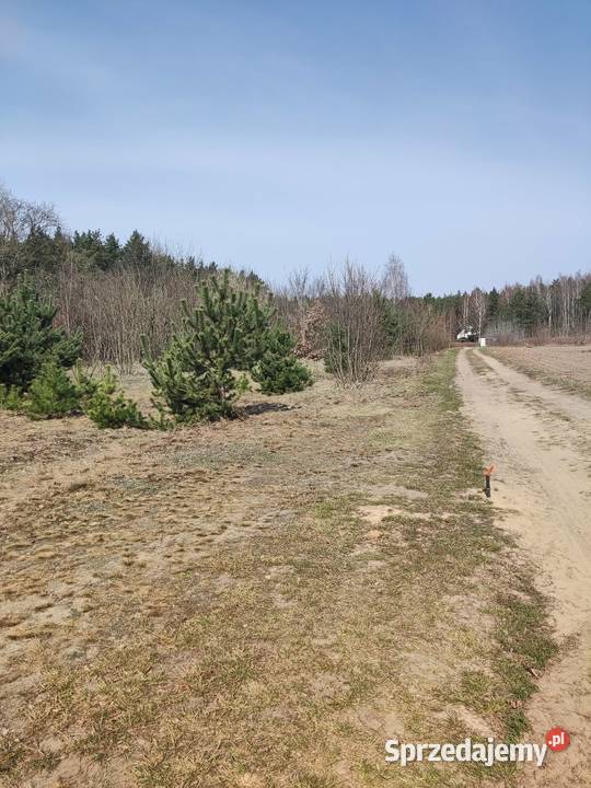Sprzedam działkę budowlaną 1300m2 Ludwinowo Dębskie sprzedam
