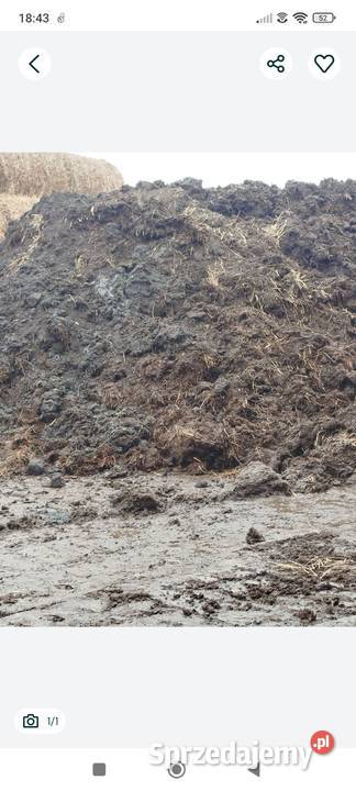 Obornik bydlęcy Pozostałe Dobre Miasto