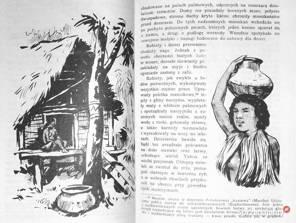 Tomek u źródeł Amazonki Alfred Szklarski Chełm