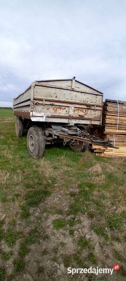 Przyczepa wywrotka hw 8011 Przyczepy rolnicze Osówka