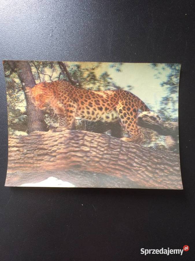 277 Pocztówki Trójwymiarowe 2 Antykwariat Szczecin sprzedam