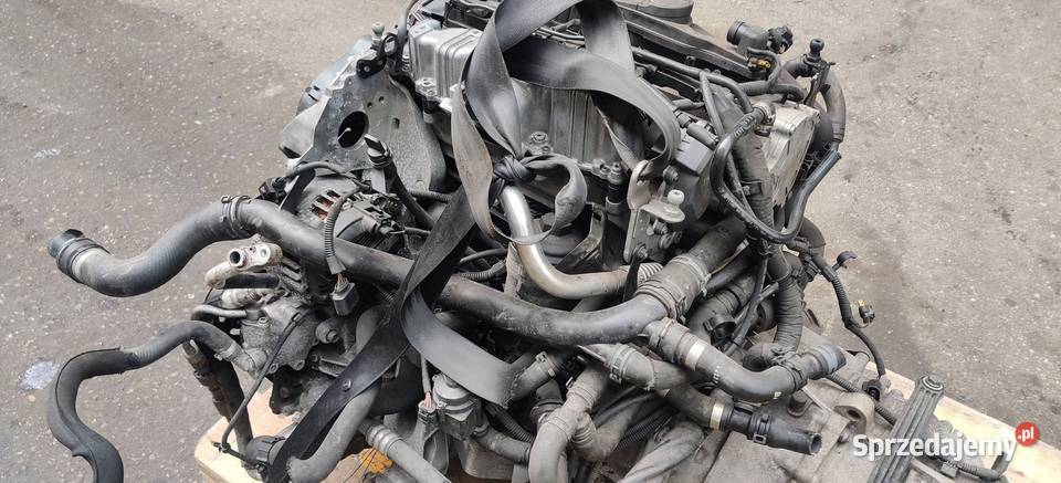 SILNIK AUDI A4 B8 20 TDI CAH NA CZĘŚCI Rudziniec