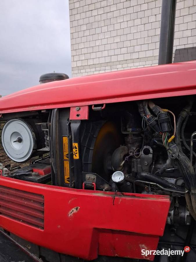 Massey Ferguson 3050 świętokrzyskie Mirzec
