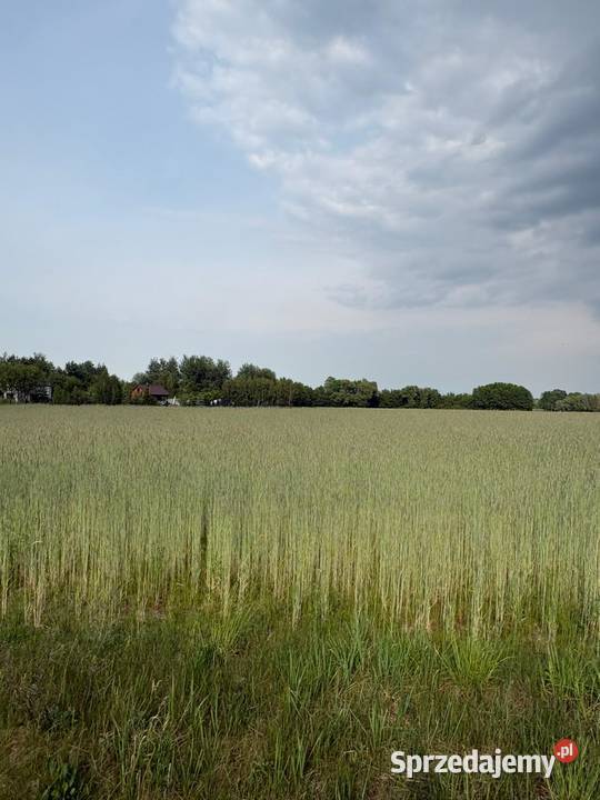 Działka budowlana WZ mKownay gmPłońsk szybki Warszawa