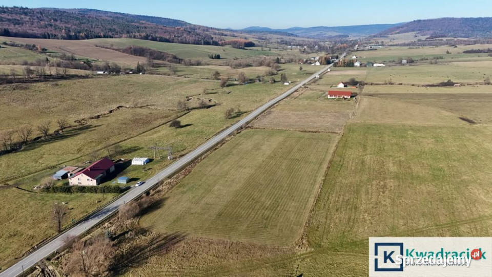 Grunt Zdynia 2762m2 78m