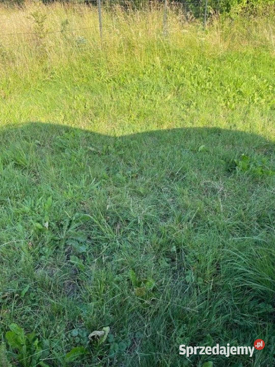 Do sprzedaży grunt 2000m2 Sianożęty asfalt