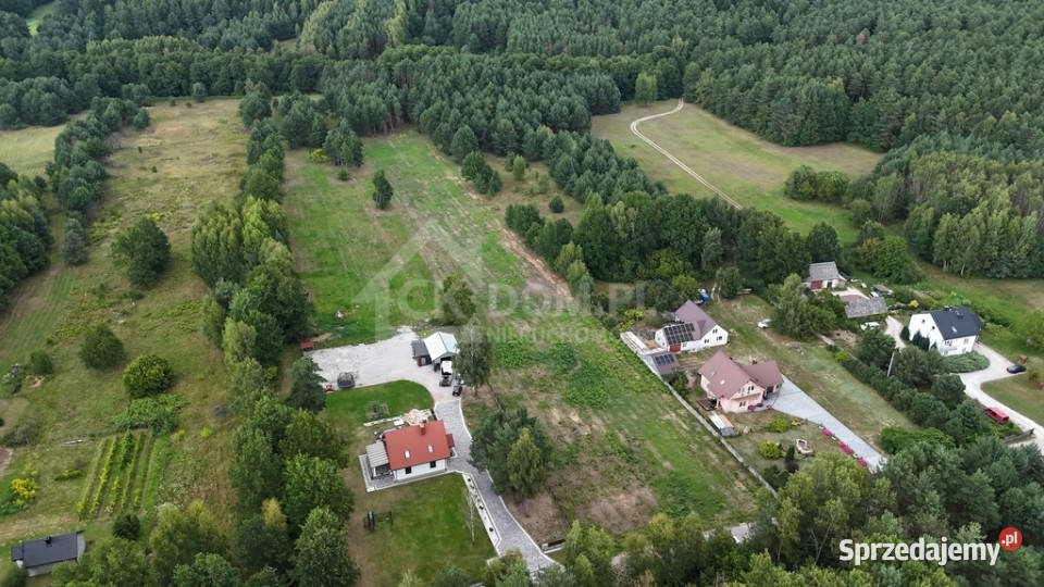 Działka na sprzedaż 910 m2 Gałęzice gm Piekoszów Sprzedaż sprzedam