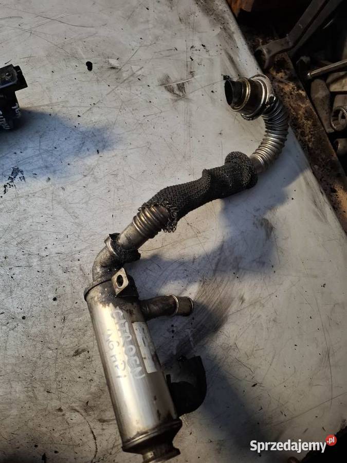 CITROEN PEUGEOT 16 HDI mazda ford chłodnia Pozostałe świętokrzyskie Kielce