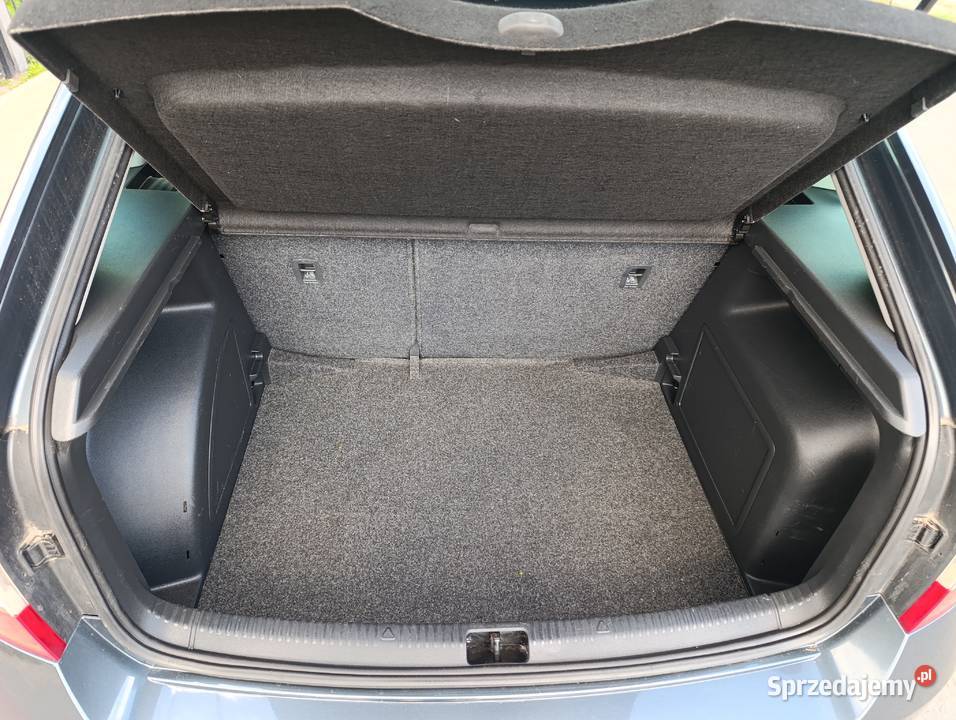 Skoda Rapid 12 TSi benzyna 105 serwisowana 2014r Rok produkcji 2014 śląskie Lgota-Mokrzesz