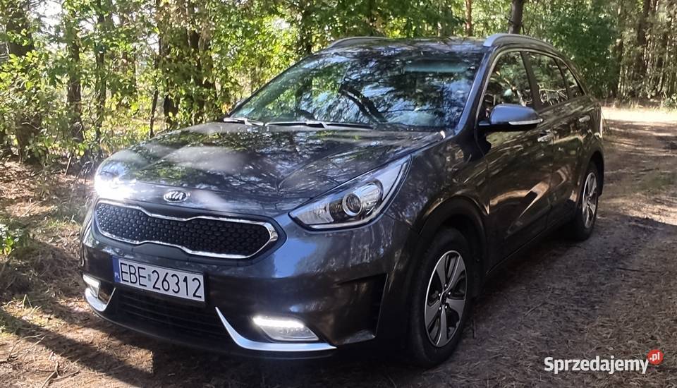 Kia Niro hybryda Bełchatów