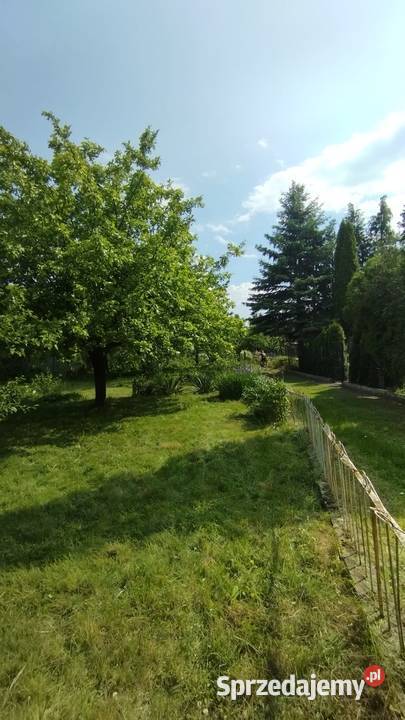 Działka ROD Łódź Dąbrowa