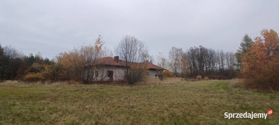 WarszawaRaszynTarczyn Posiadłość 21 ha z garaż Sprzedaż Tarczyn