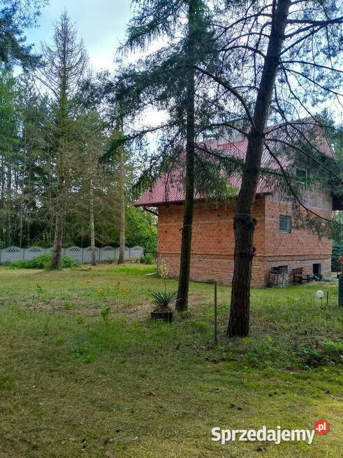 Murowany dom 120 m z działką 2500 m lesieŁódź Krzywiec