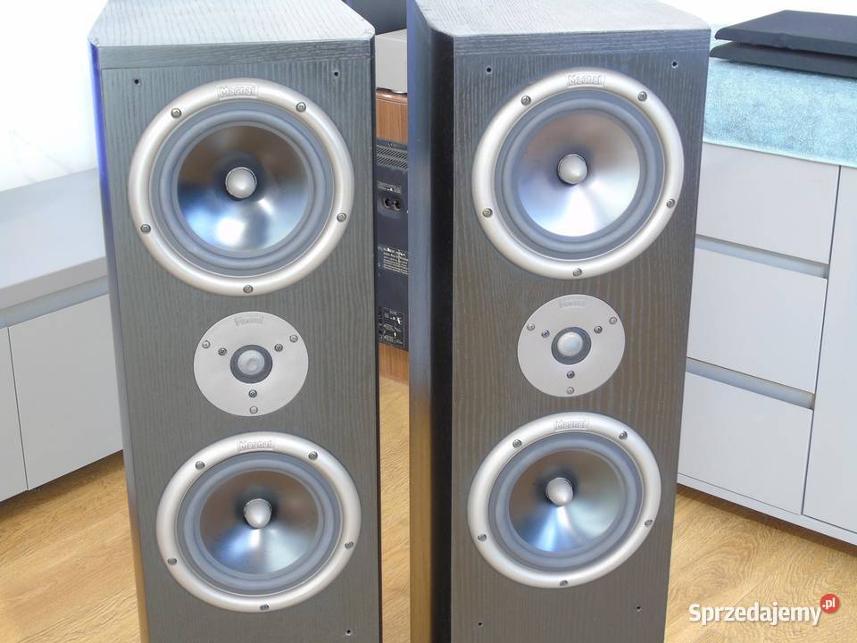 Kolumny Magnat Magnum 05 sprawne 2 x 320 wat podkarpackie Jasło