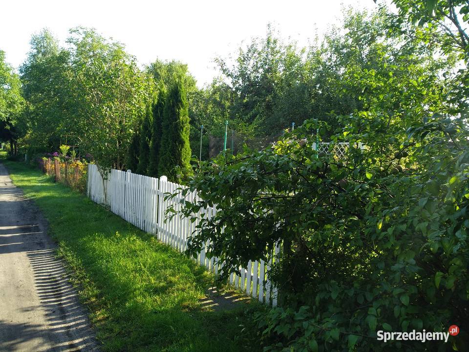 Działka ROD Łączka Ząbki sprzedam