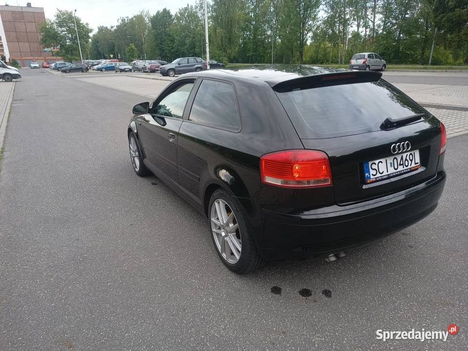 Audi A3 8P 19 TDI DPF śląskie Pogwizdów