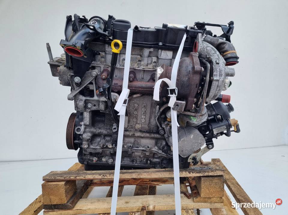 SILNIK Ford Focus III MK3 16 TDCI 115 T1DA T1DB lubelskie Rudka