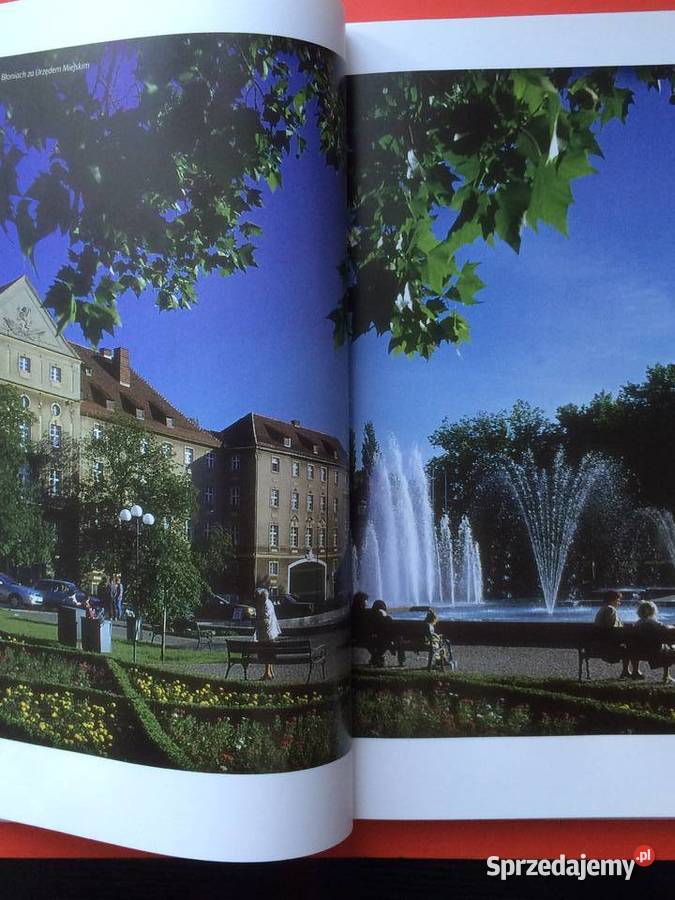 2221 Szczecin W Kwiatach sprzedam