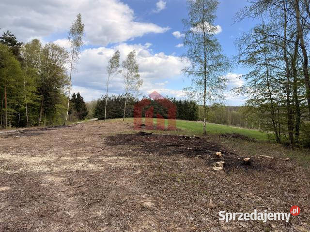 Działka 600m2 Zagórze woda sprzedam