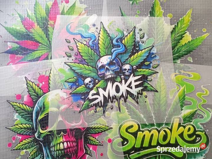 Tshirt koszula grafiką transferowa Myszka Miki Wrocław