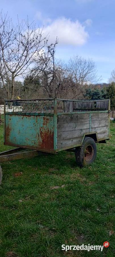 Przyczepa jednoosiowa dwukołówka nieuszkodzony Dzierżoniów sprzedam
