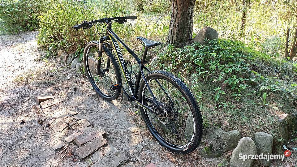 Alu Rower Górski Mtb Specialized Rockhopper Wołów sprzedam