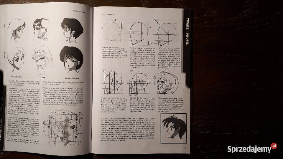 Rysujemy z Kawaii książeczka Rysujemy śląskie Rybnik