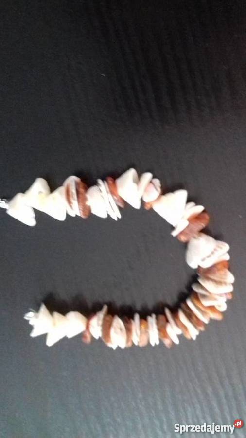 Bransoletka w muszelki Iława