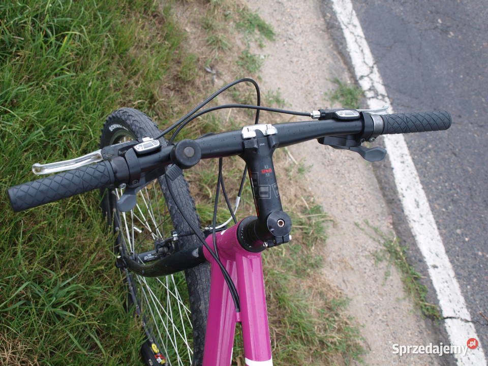 Rower MTB Musing Off Road dolnośląskie Chojnów