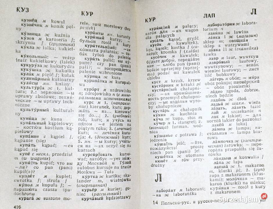 Słownik polskorosyjski rosyjskopolski Wyd 1987 Pozostałe Chełm
