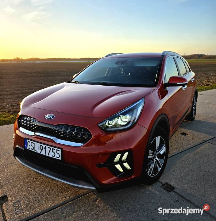 Kia Niro 16 GDI Hybryd Wersia L Business 2021r pomorskie Słupsk