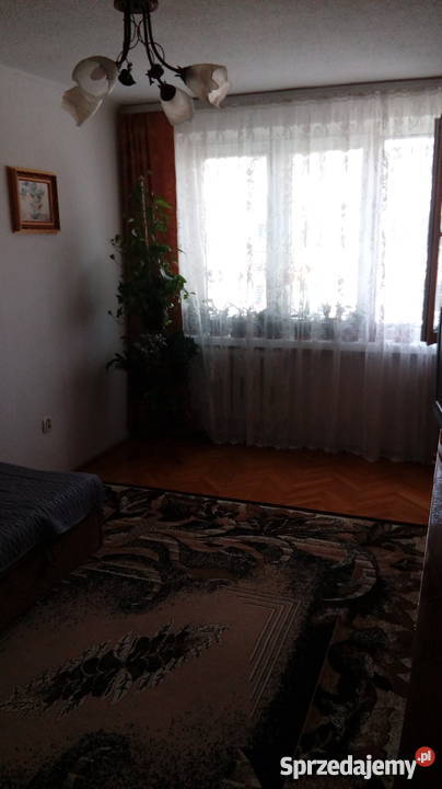 sprzedam mieszkanie Płońsk 455 m2 664374704 3600zł/m2 mazowieckie