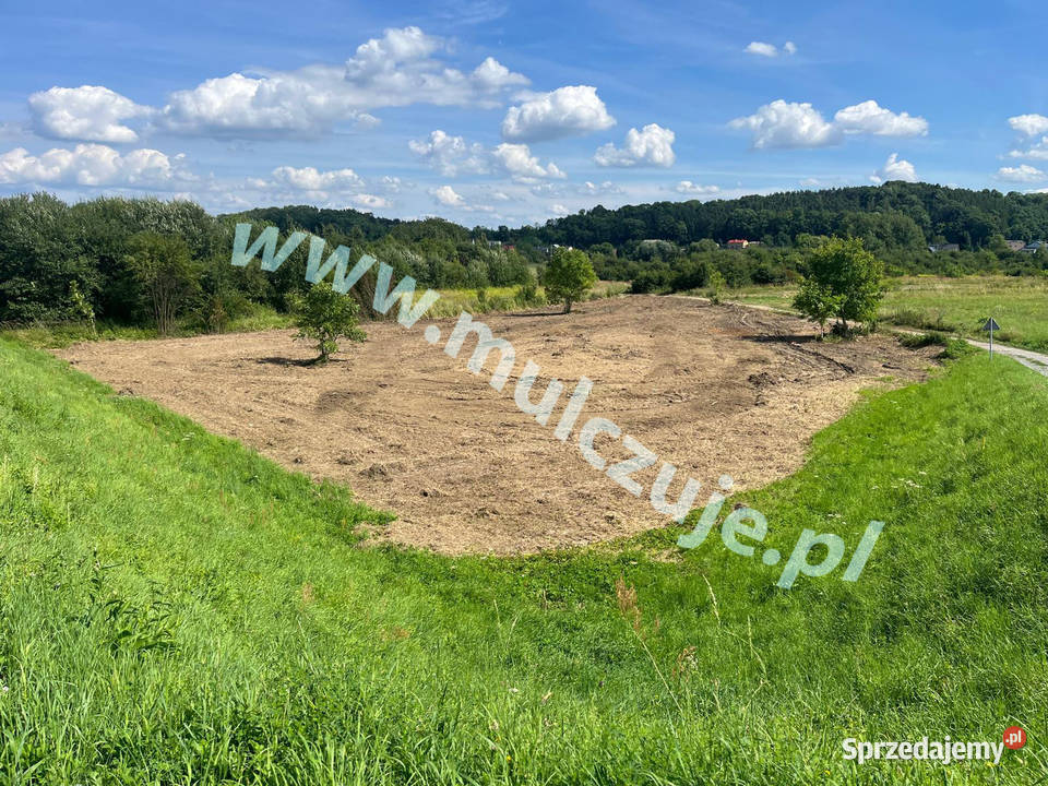 Mulczer leśny wgłębny powierzchniowy Karczowanie małopolskie Kraków