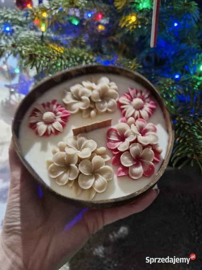 Swieca sojowa w łupinie kokosa wielokolorowy Sulechowo