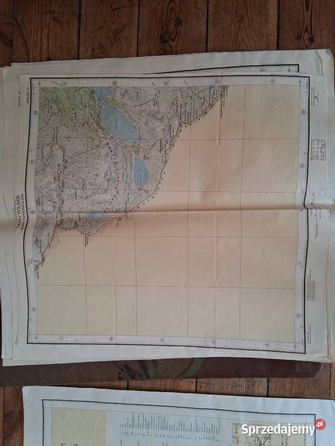 Tatry Polskie Mapa topograficzna w skali 110 000 Poznań sprzedam