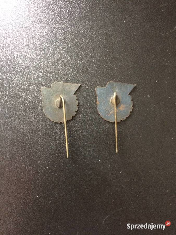 3339 Przypinka FSZMP Antyki, Sztuka, Kolekcje Szczecin