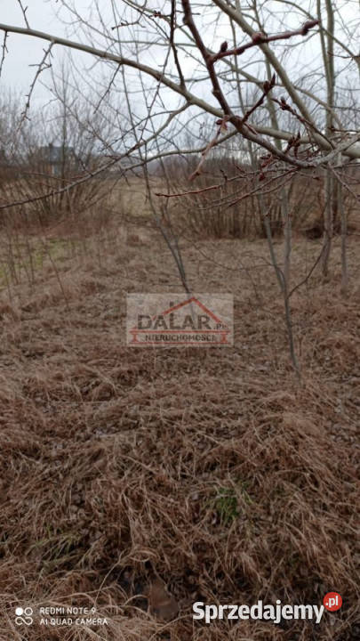 Działka 2972m2 Dobiesz