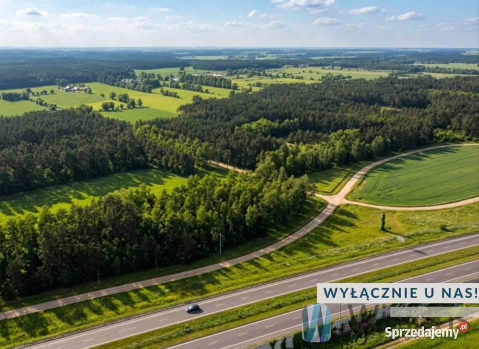 Działka Śródborze 128499 metrów Sprzedaż