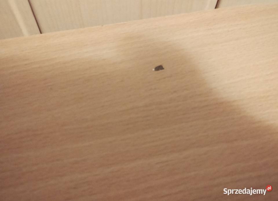 Sprzedam ławę podkarpackie Studzian sprzedam