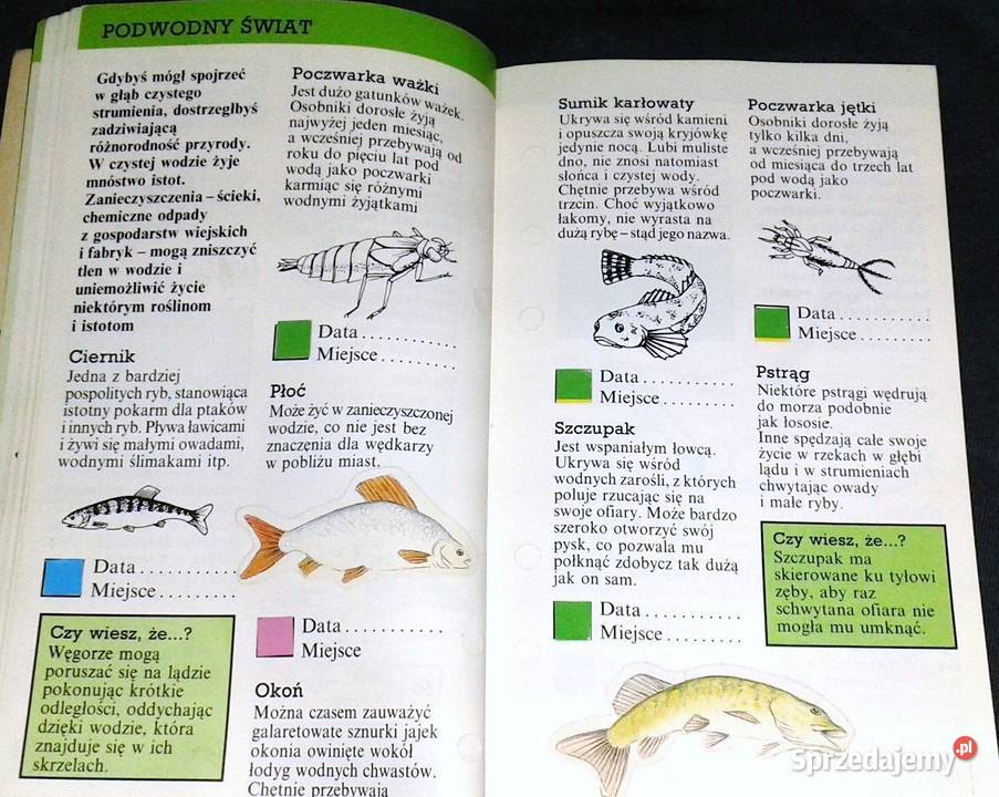 Zaobserwuj to Przewodnik przyrodzie Rosy Border Chełm