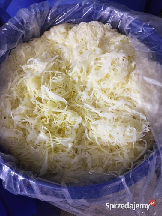 Kapusta szatkowanakiszona naturalnie łódzkie Kolonia Łaznów