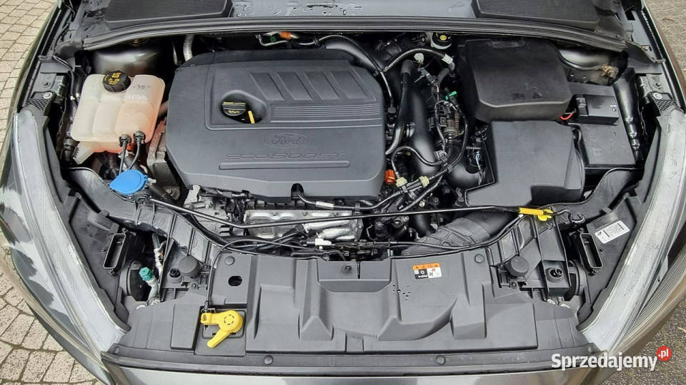 Ford Focus Lift Serwis Automat 15 Turbo lakier metallic