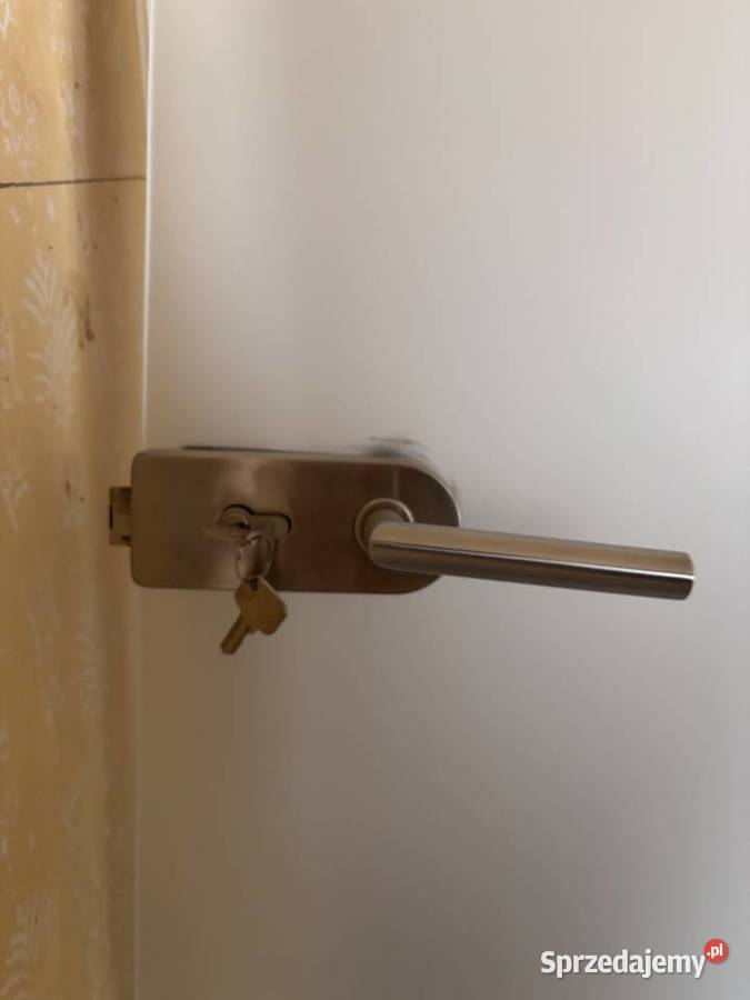 Drzwi szklane z futryną Cieszyn