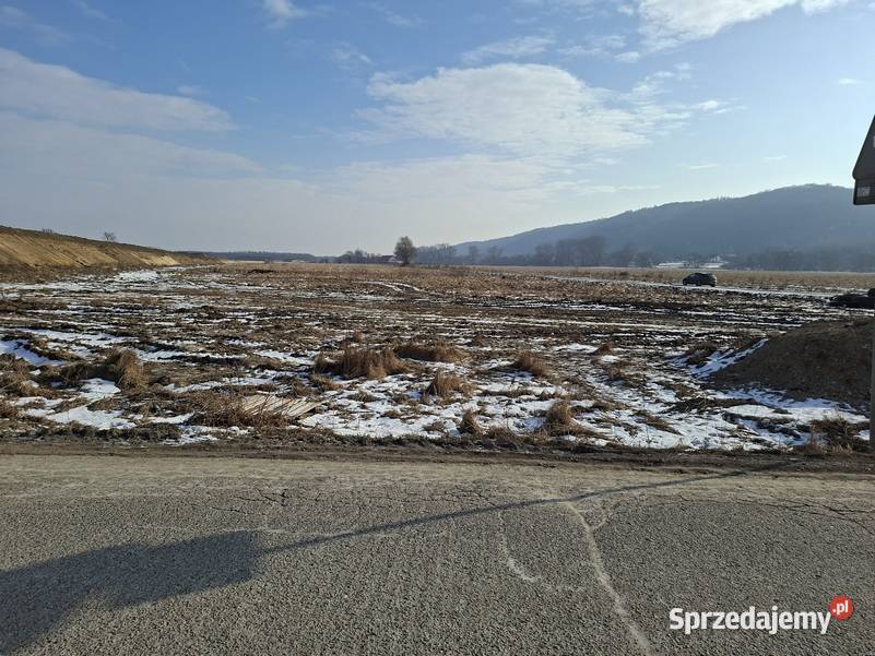 Niegoszowice gm Zabierzów działka 5323 m2 z sprzedam